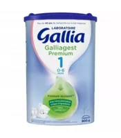 Gallia Galliagest Premium 1 Lait En Poudre B/800g à MONDONVILLE